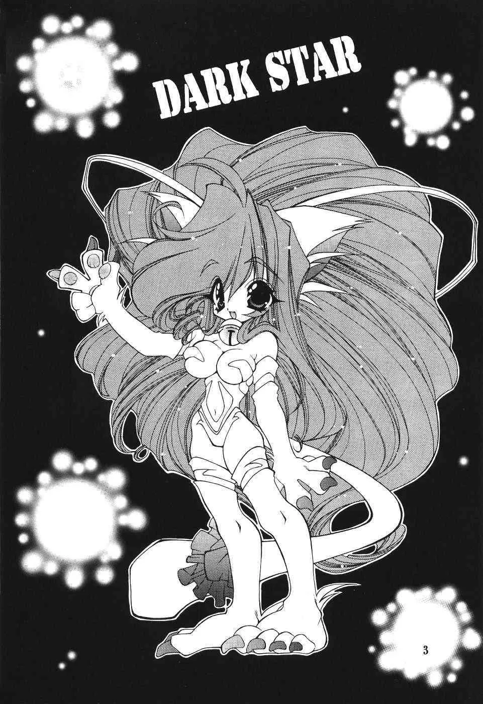 (C57)[SXS (響星哉, 龍炎狼牙, 高時てん丸)] DARKSTAR_2