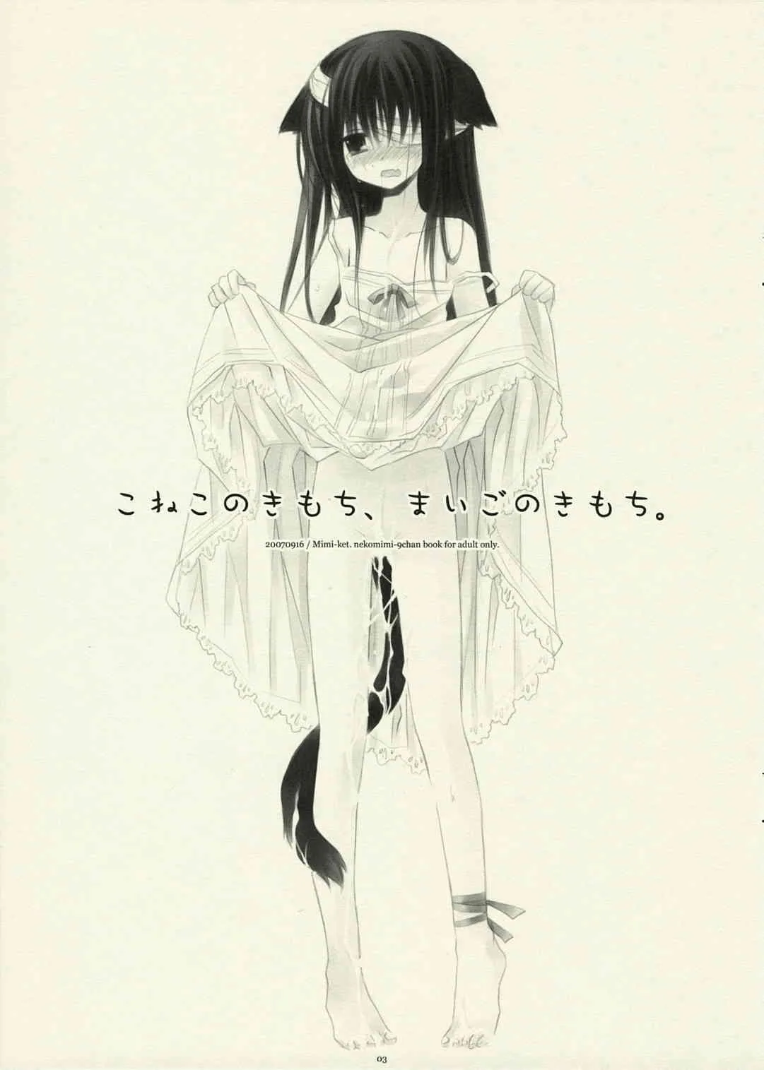 [CHRONOLOG (桜沢いづみ)] こねこのきもち、まいごのきもち。(銀魂)_2