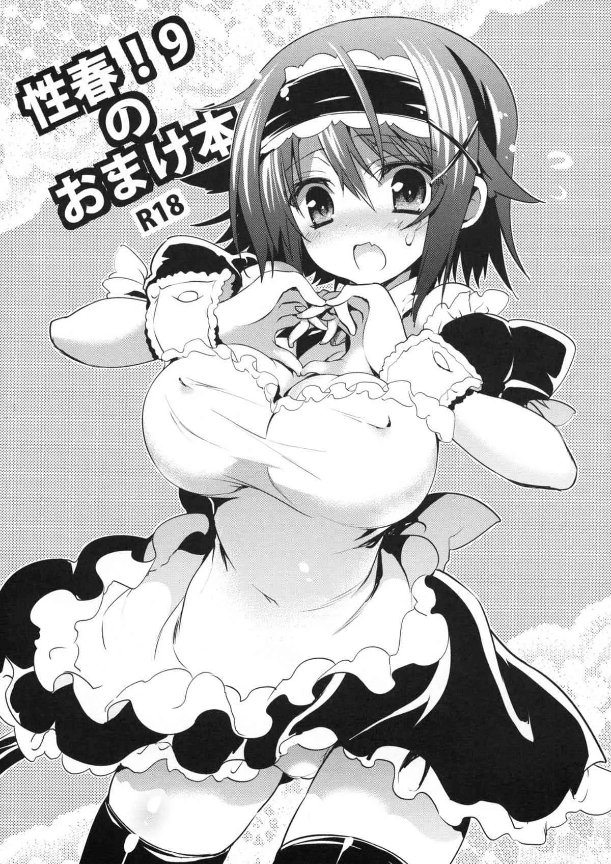 (C85) [乙女気分 (三色網戸。)] 性春！9のおまけ本