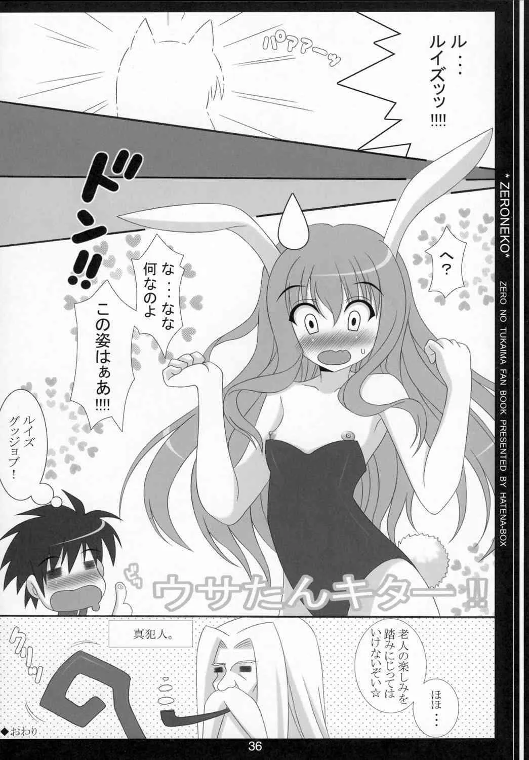 (SC36) [HATENA-BOX (おだけんいち)] 脱いだらすごいんです。 (ゼロの使い魔)_3