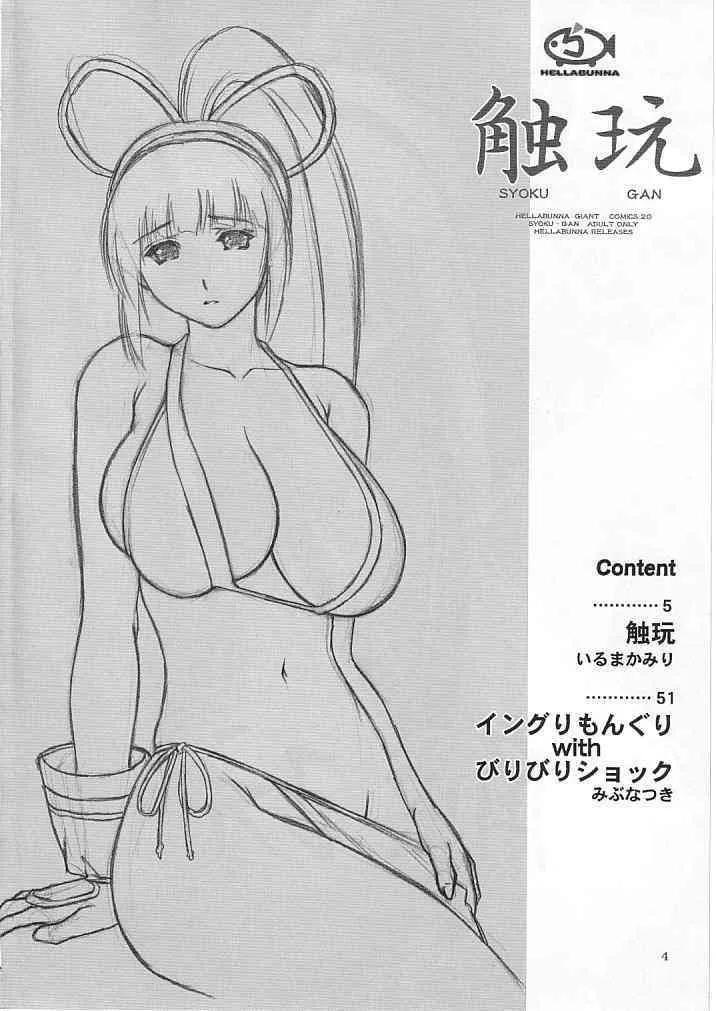 (C65) [へらぶな (いるまかみり、みぶなつき)] 触玩 SYOKU-GAN (カプコン ファイティング ジャム、サムライスピリッツ零