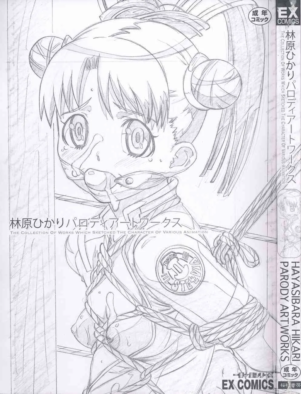 [林原ひかり] パロディアートワークス_5