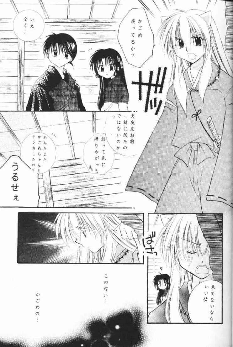 [桜館] 星屑ドロップ (戦国お伽草子ー犬夜叉)_6