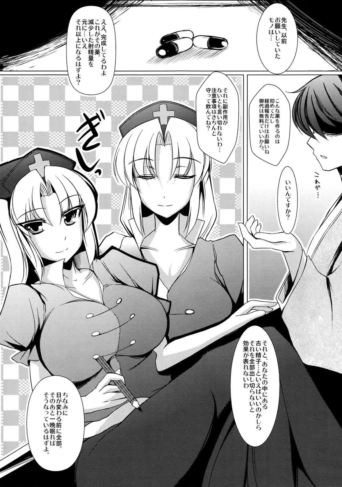 (紅楼夢8) [限月 (すてぃえる)] 永琳を愛でる? 本 (東方Project)_2