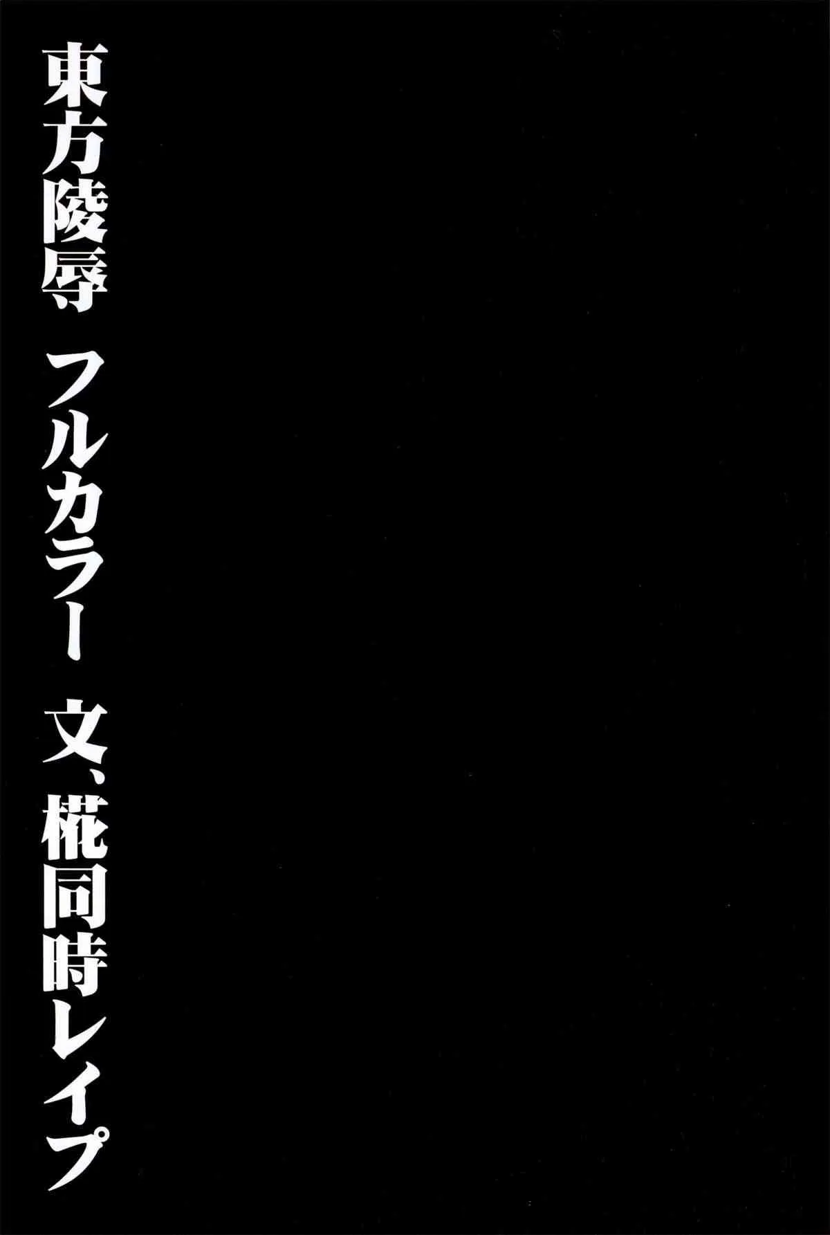 (C84) [ナギヤマスギ (那岐山)] 東方陵辱28 文、椛同時レイプ (東方Project)_3