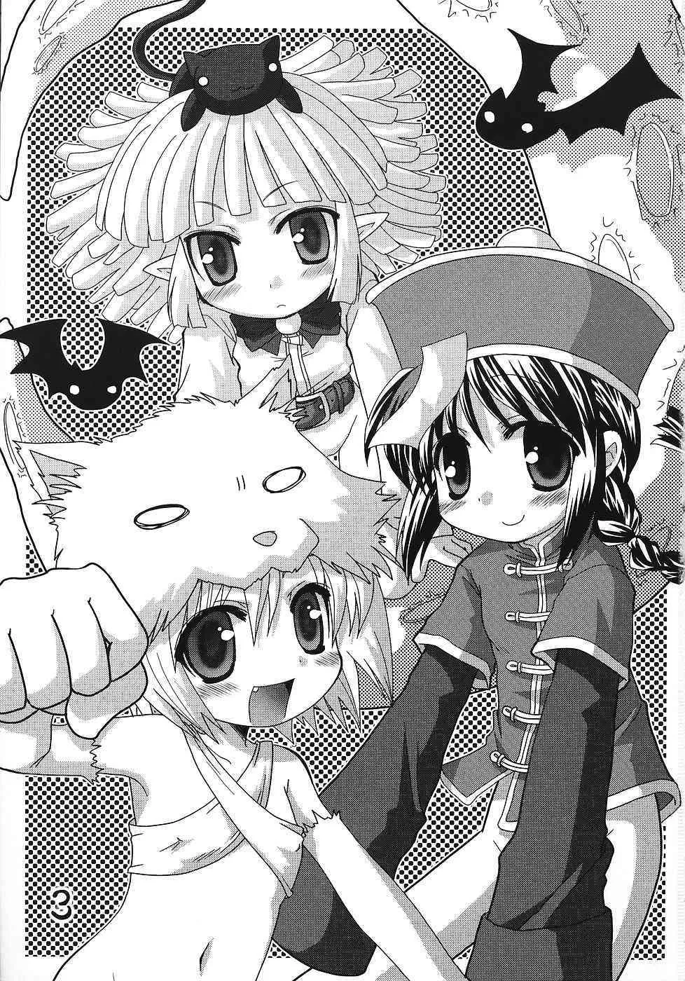 Tsurupeta Kenkyuusho Houkokusho_2