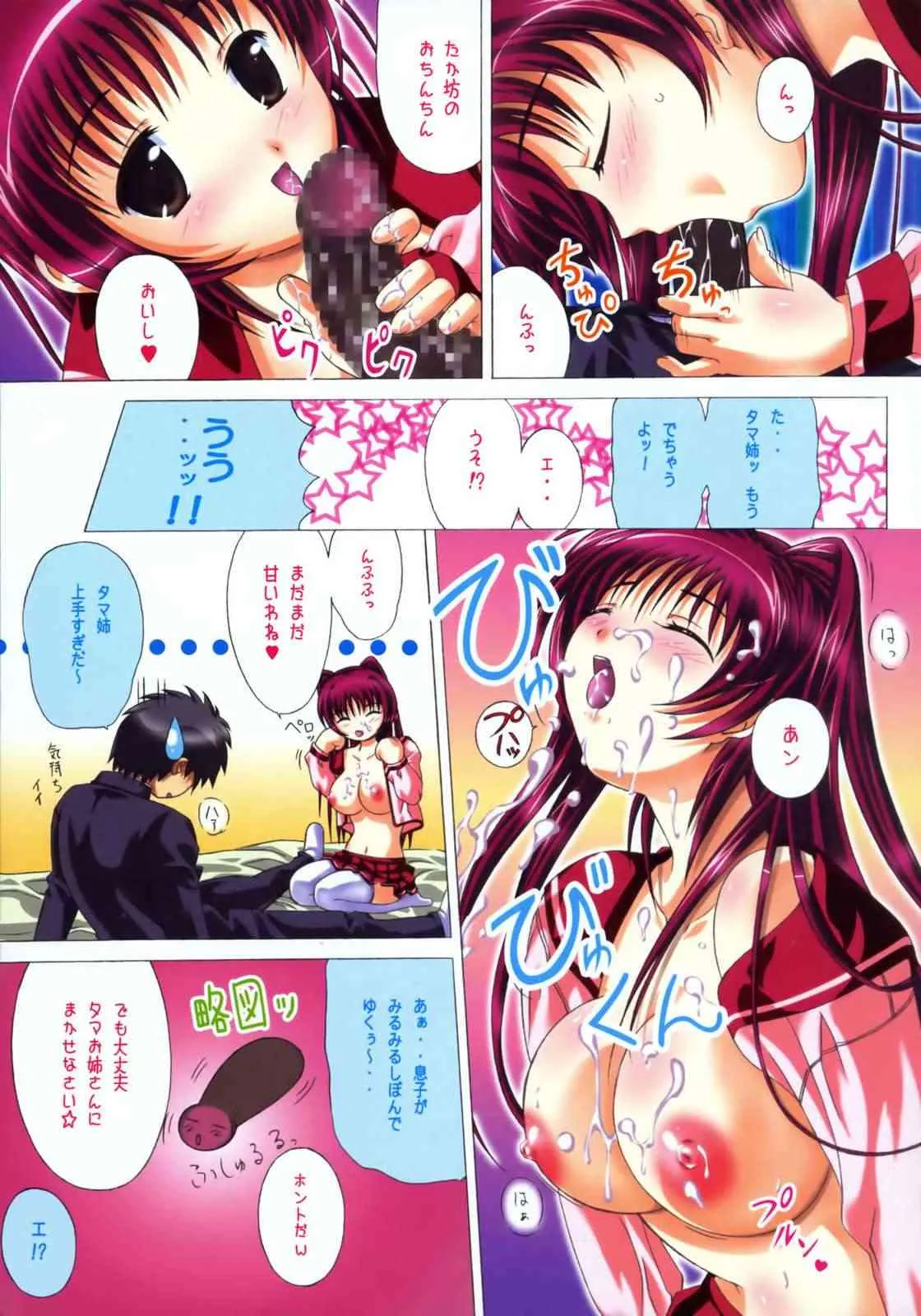 (サンクリ27) [ぐるめポッポ (毒桃)] タマノキモチ (トゥハート2)_6