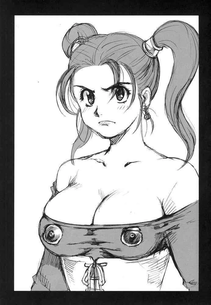 (C67) [マッハウイング (らいうん)] DQP (ドラゴンクエスト)_8