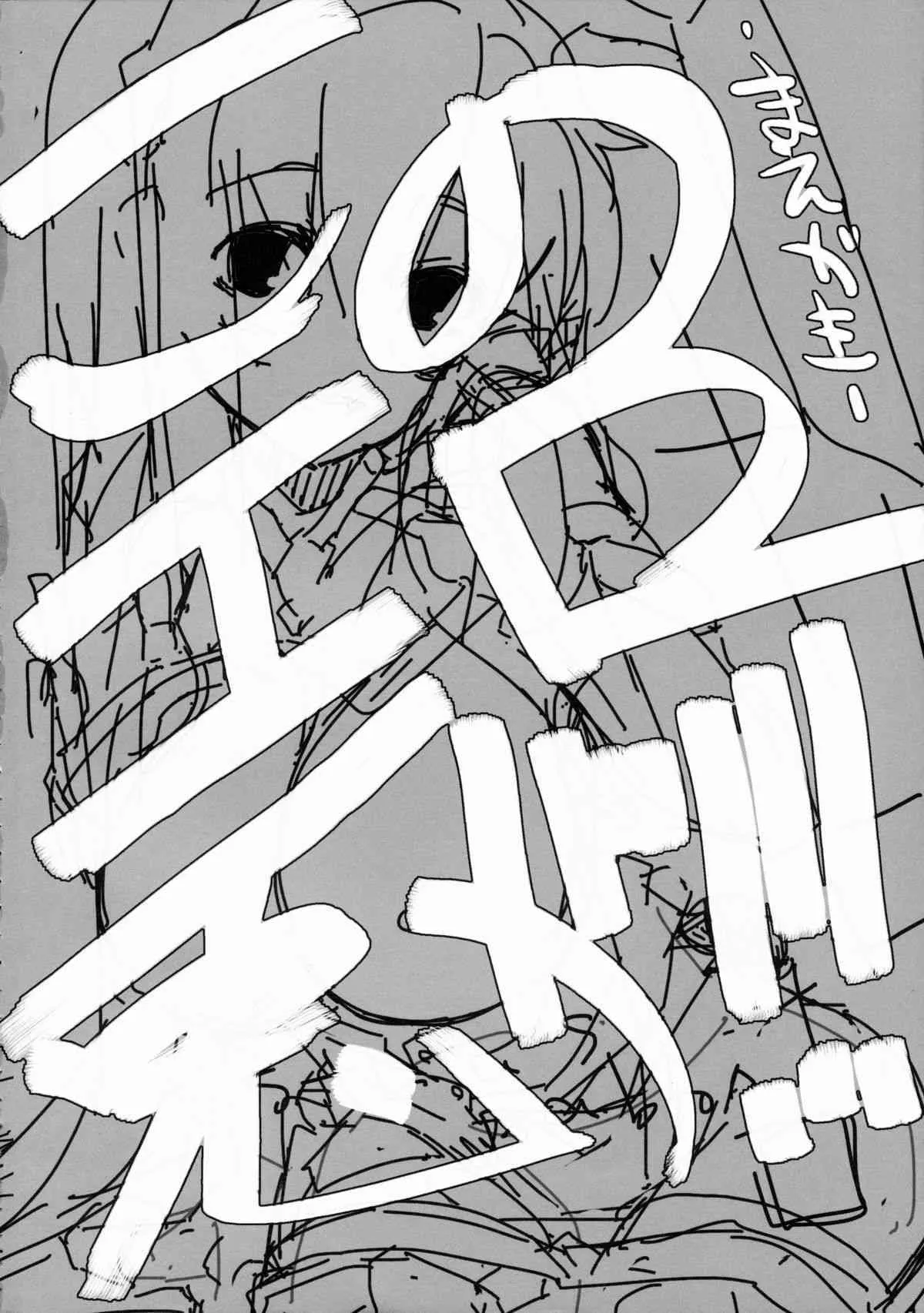 (例大祭12) [662KB (拾次)] Estrus Rabbit!!! (東方Project)_3