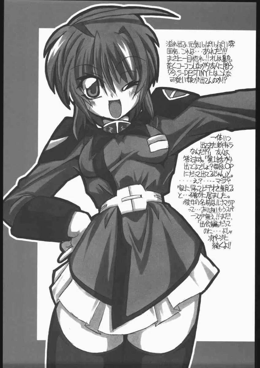 [NNZ団 (グレート魔神)] 可愛さあまって!! (機動戦士ガンダムSEED DESTINY)_4