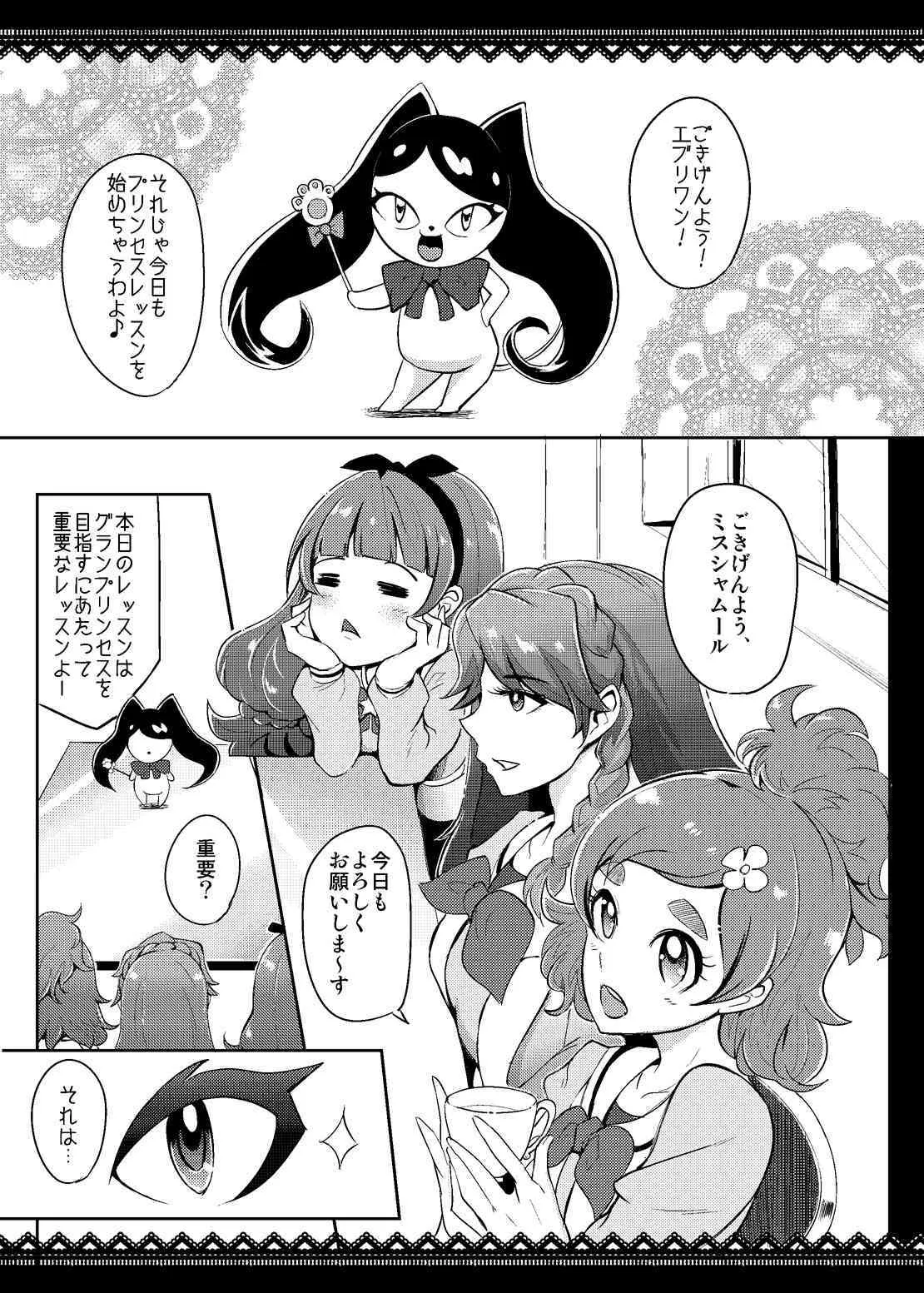 (C88) [SOUND MILK (Otochichi)] Princess Sakusei Lesson (Go! Princess PreCure)_2