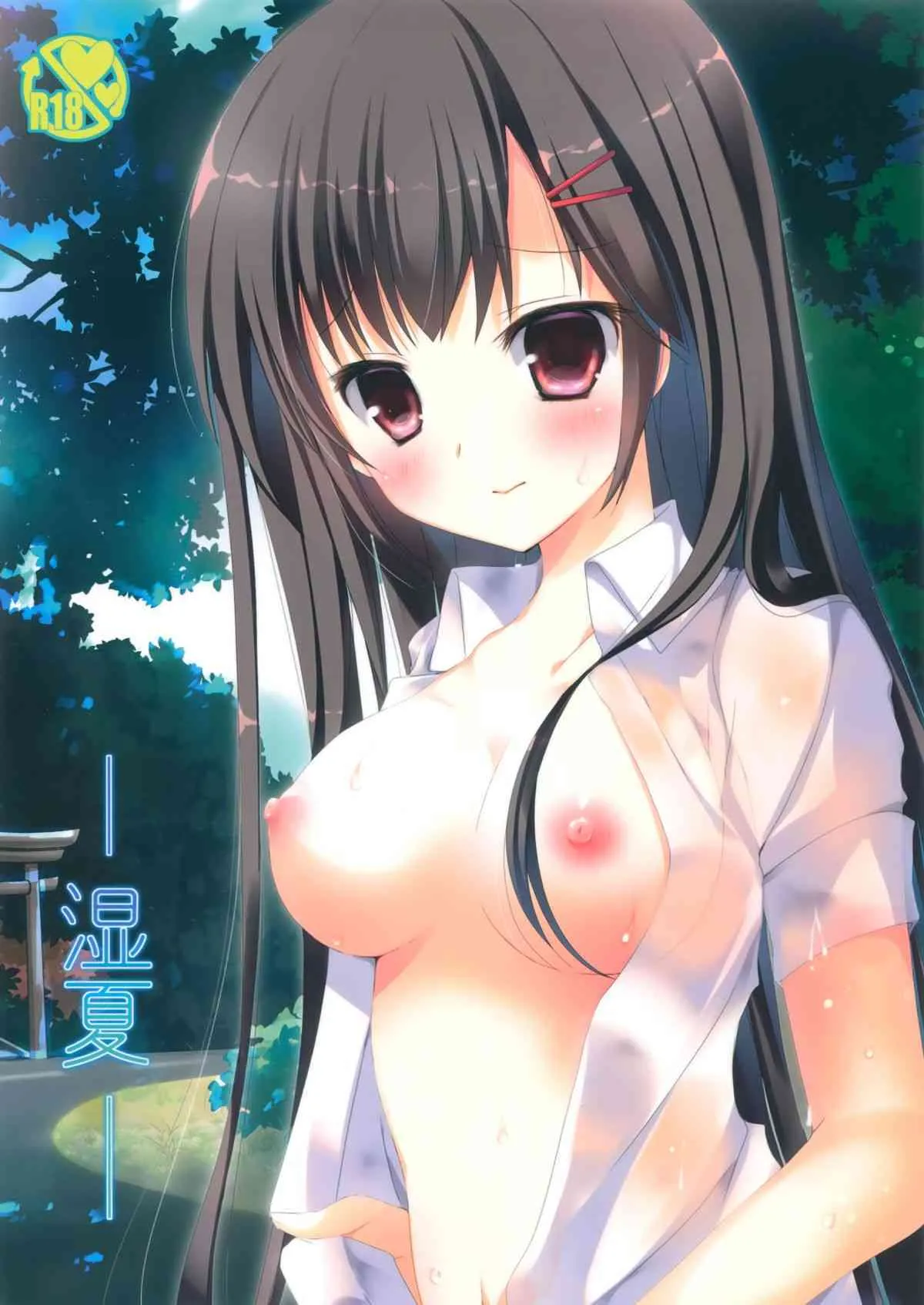 (C88) [cocotto (水沢深森)] 湿夏