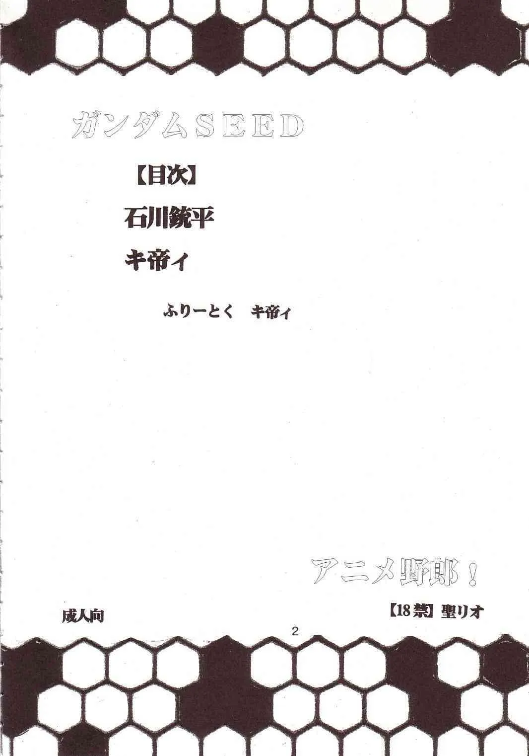 [St. Rio] Seed Phase 04 [Gundam Seed]_2