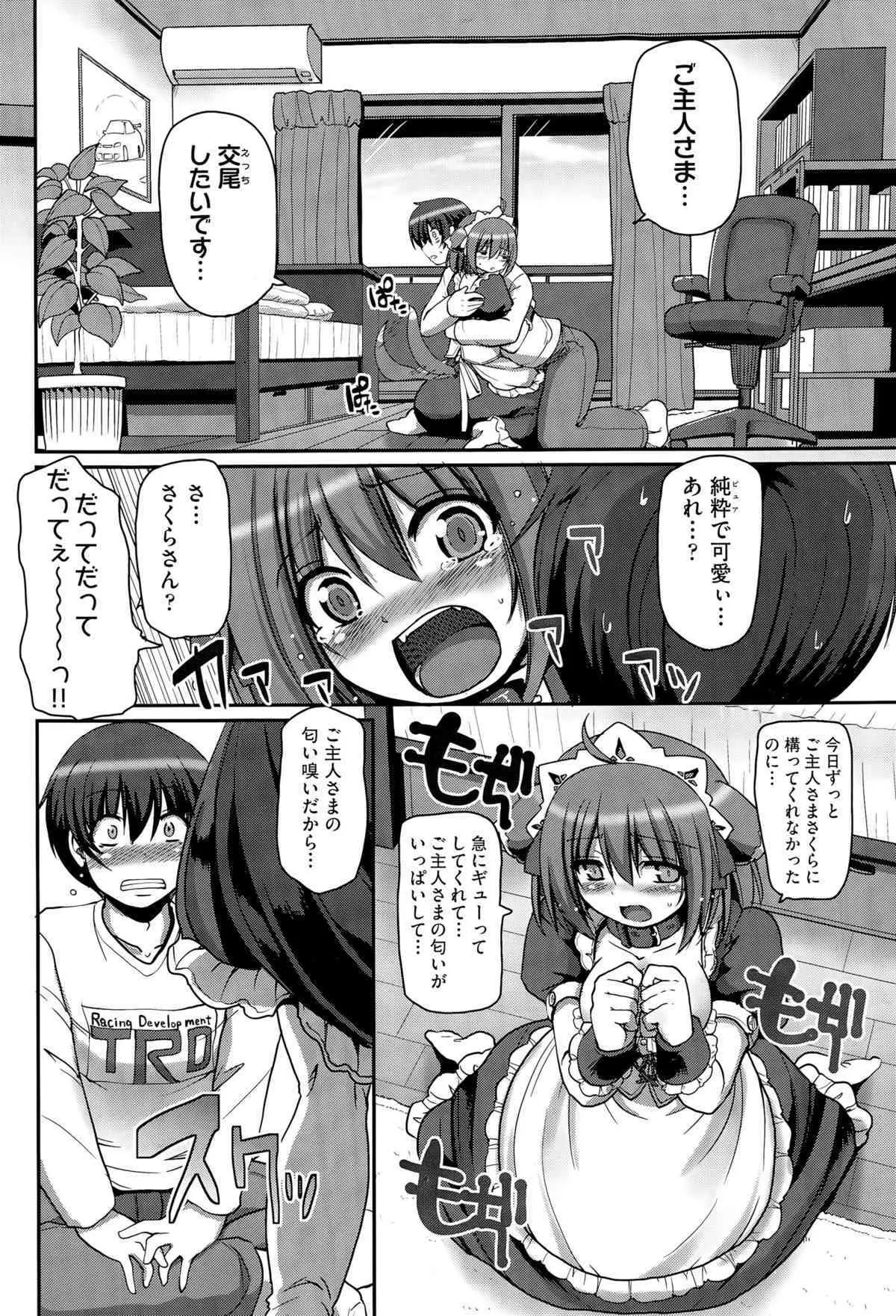 image_384