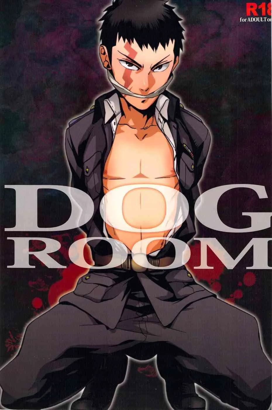 (C77) [おちゃわん (わかちこ)] DOG ROOM (無頼伝 涯)
