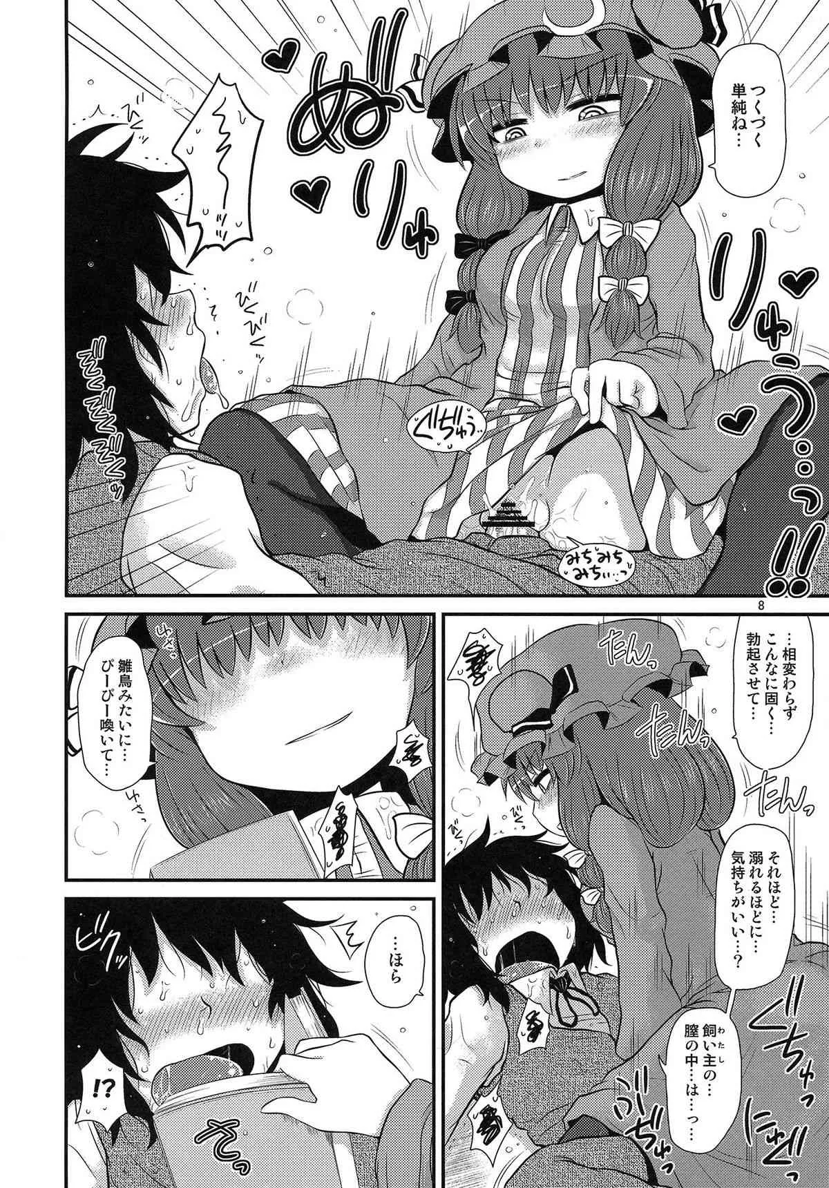 (C85) [川豚毒 (加藤フグオ)] するだけ番外。 (東方Project)_5