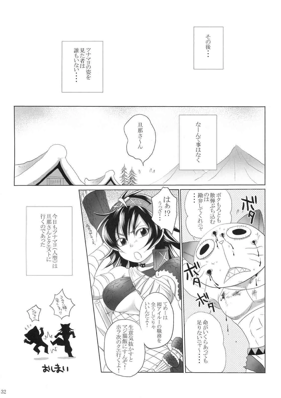 image_31