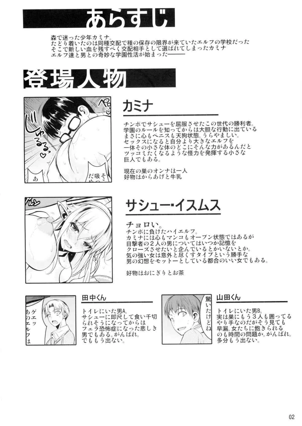 (C88) [シュート・ザ・ムーン (フエタキシ)] ハイエルフ×ハイスクール 黒_3