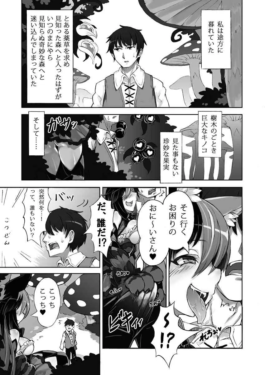 魔物 娘 図鑑 被害 報告～チェシャチェシャ 猫 の おい で ませ 不思議 の 国 ～ (sample)_2
