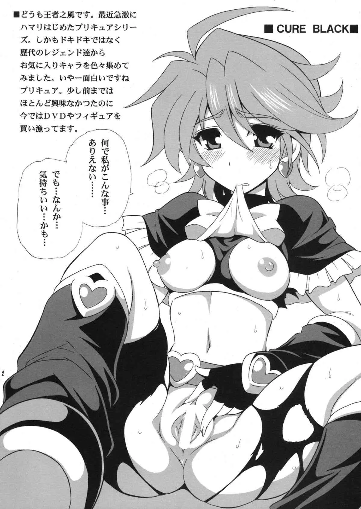 (サンクリ61) [りーず工房 (王者之風)] PRETTY (プリキュアシリーズ)_2