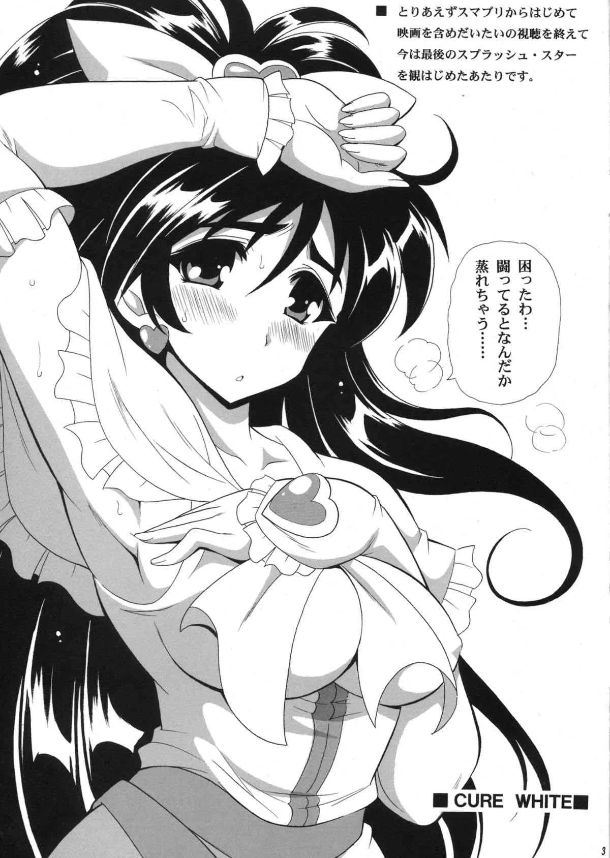 (サンクリ61) [りーず工房 (王者之風)] PRETTY (プリキュアシリーズ)_3