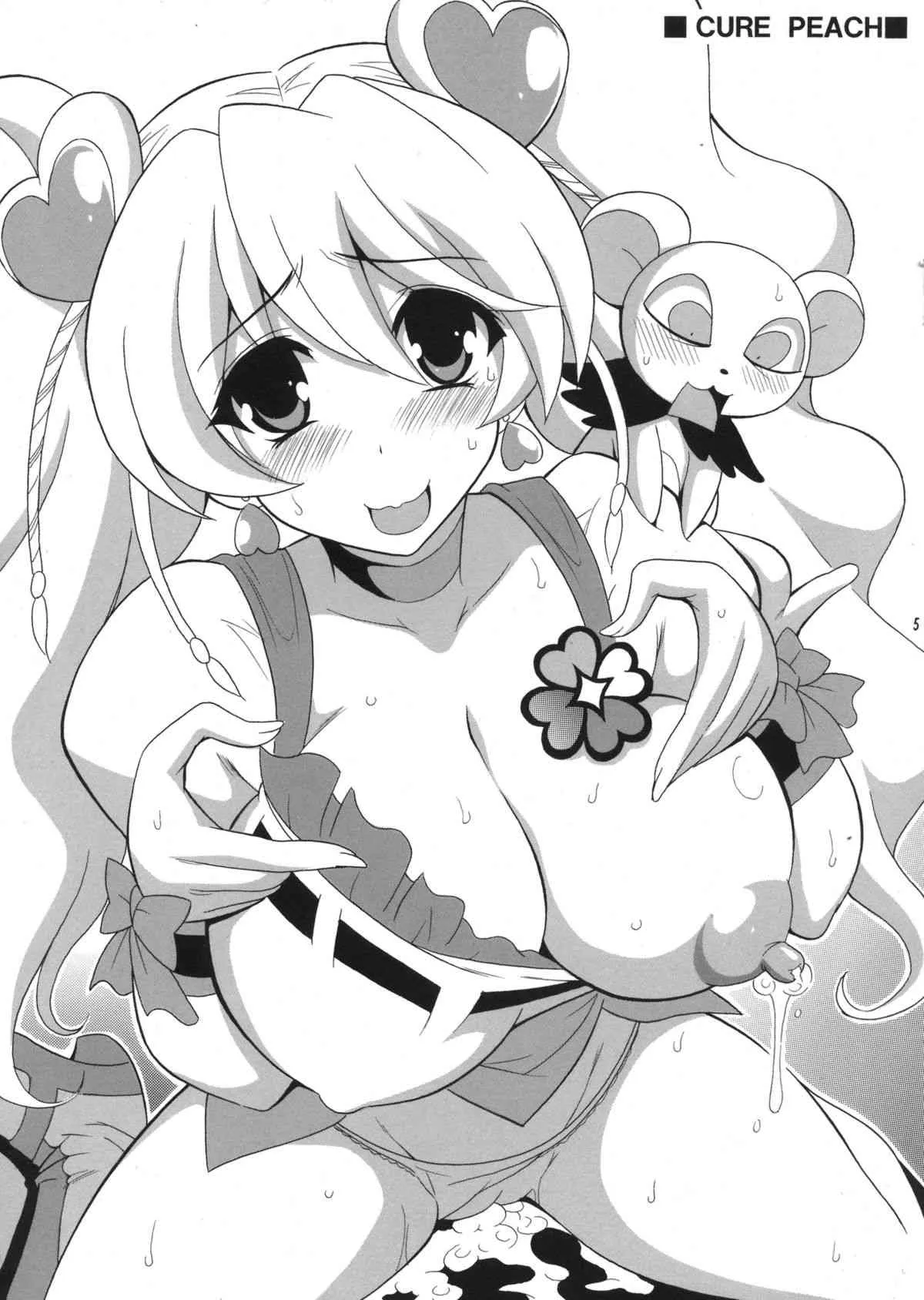 (サンクリ61) [りーず工房 (王者之風)] PRETTY (プリキュアシリーズ)_5