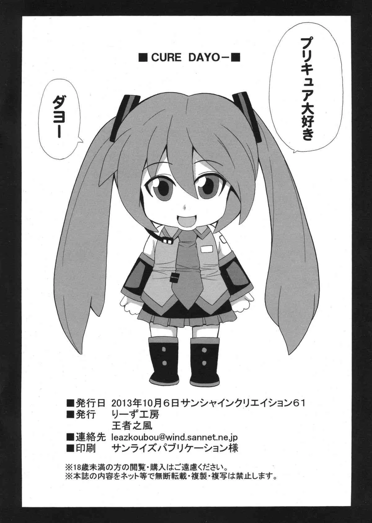 (サンクリ61) [りーず工房 (王者之風)] PRETTY (プリキュアシリーズ)_8