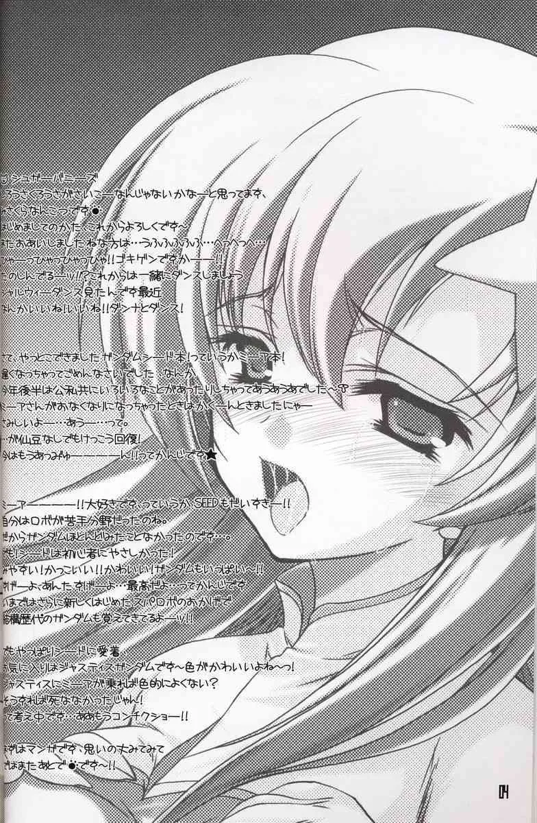 (C69) [ハースニール (みさくらなんこつ)] ミーアちゃんの王音放送 (機動戦士ガンダムSEED DESTINY)_3