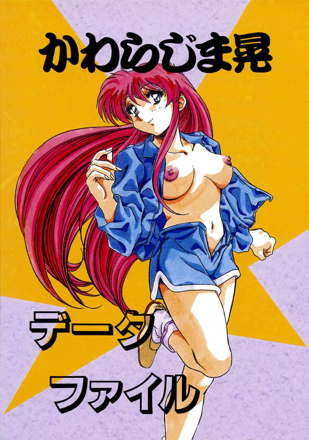 (C46)[片励会 (かわらじま晃)] Chaos Create かわらじま晃 DATAFILE_2