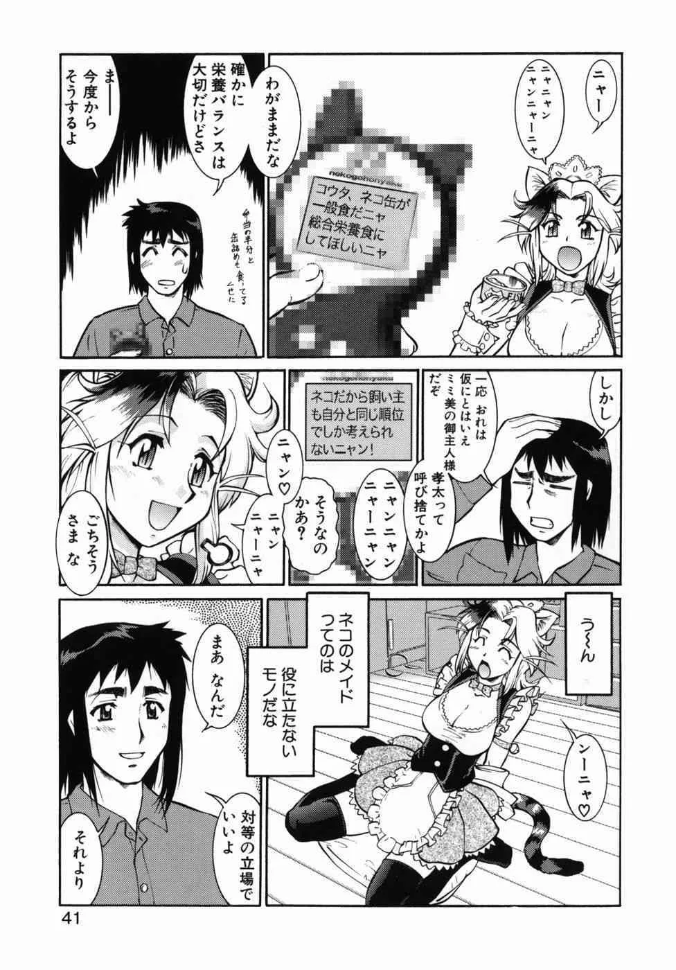 image_40
