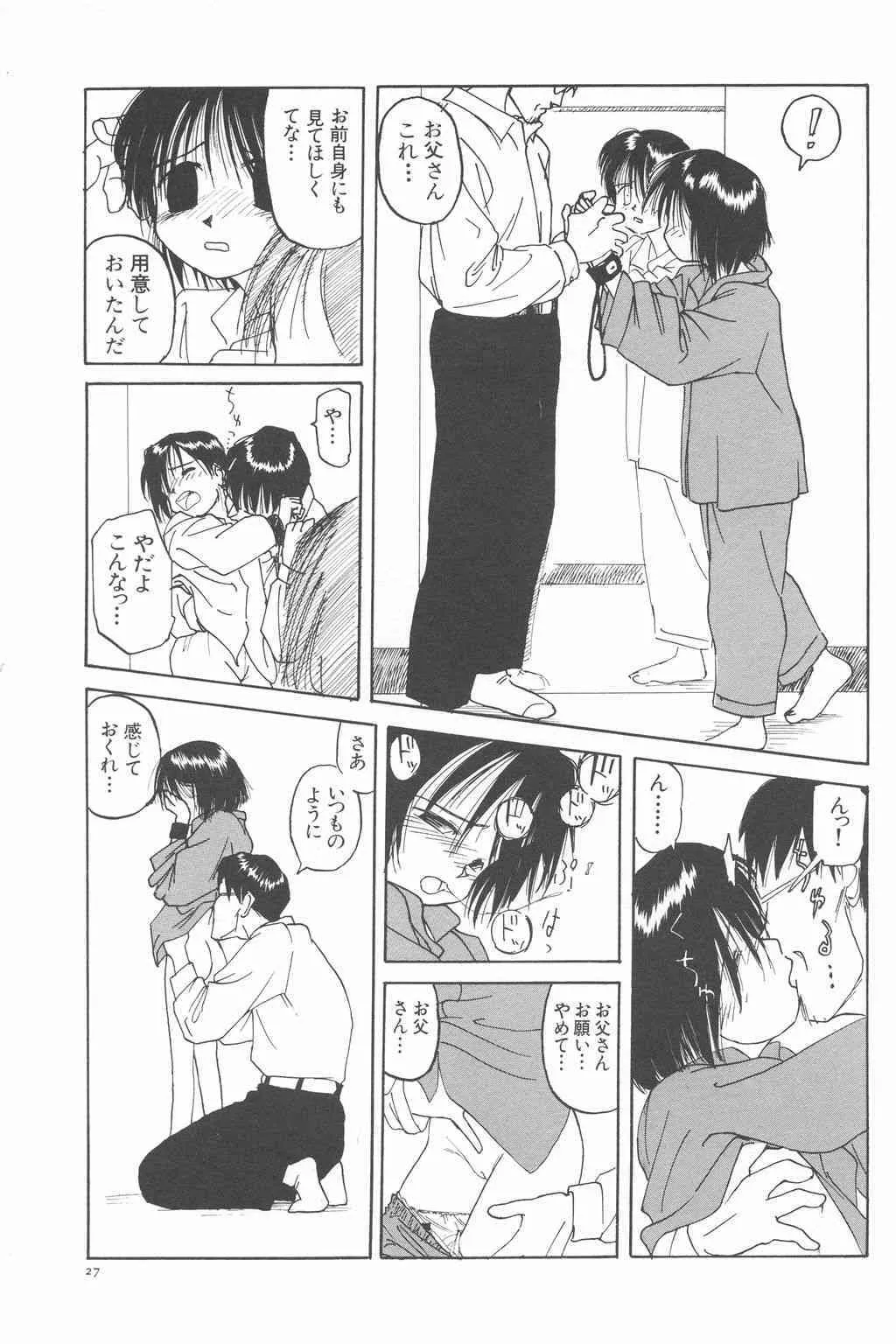 image_27