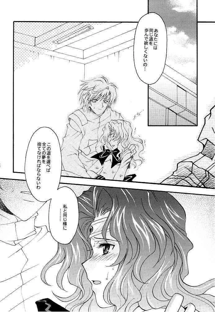 (C66) [小鳥事務所 (桜文鳥)] この生命誰のもの (セーラームーン)_3