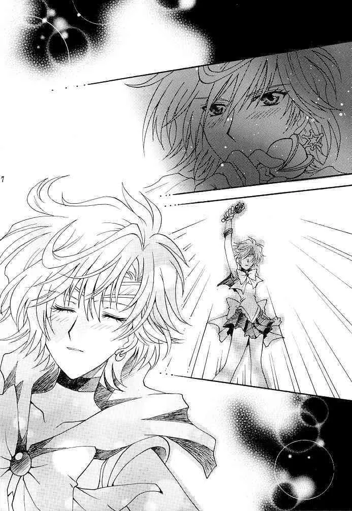 (C66) [小鳥事務所 (桜文鳥)] この生命誰のもの (セーラームーン)_6