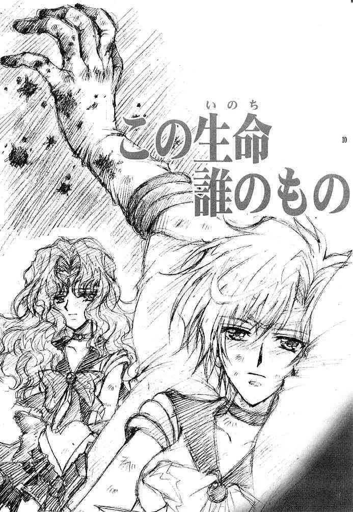 (C66) [小鳥事務所 (桜文鳥)] この生命誰のもの (セーラームーン)_9