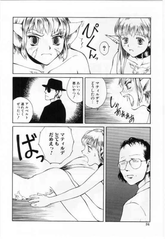 image_34