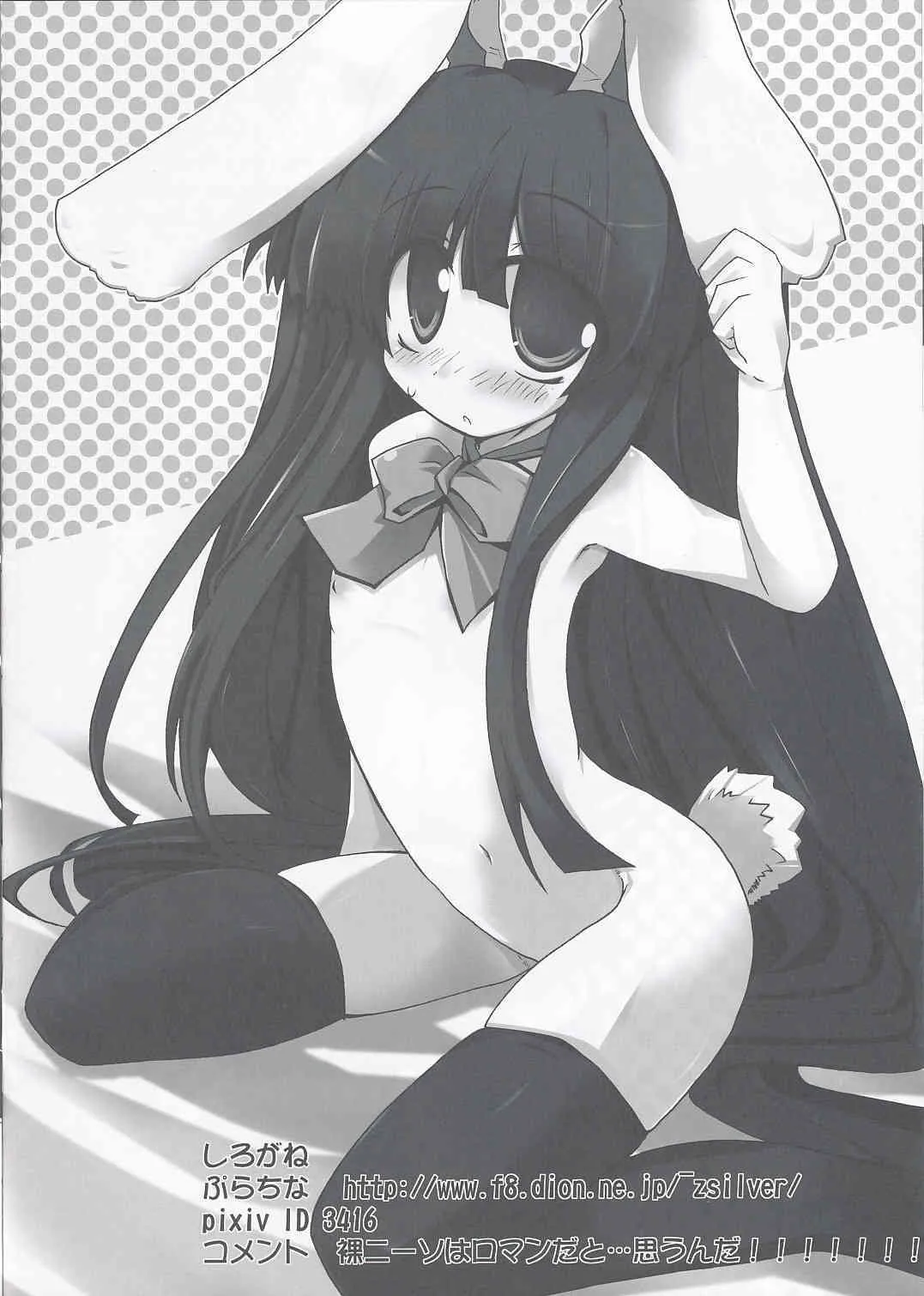(例大祭6) (同人誌) [毒霧] 東方ニーソキャラ合同イラスト集 脚_4