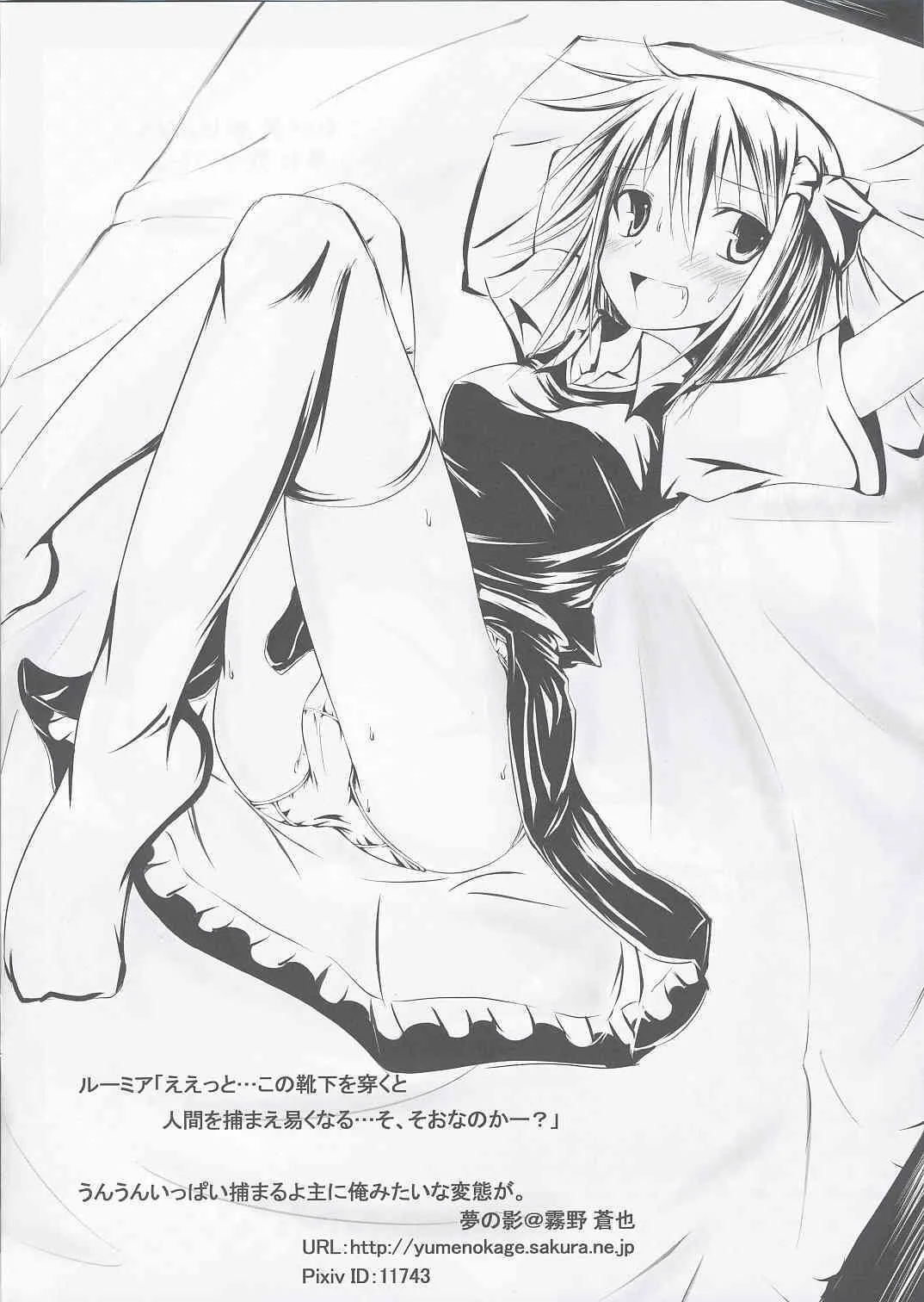 (例大祭6) (同人誌) [毒霧] 東方ニーソキャラ合同イラスト集 脚_6