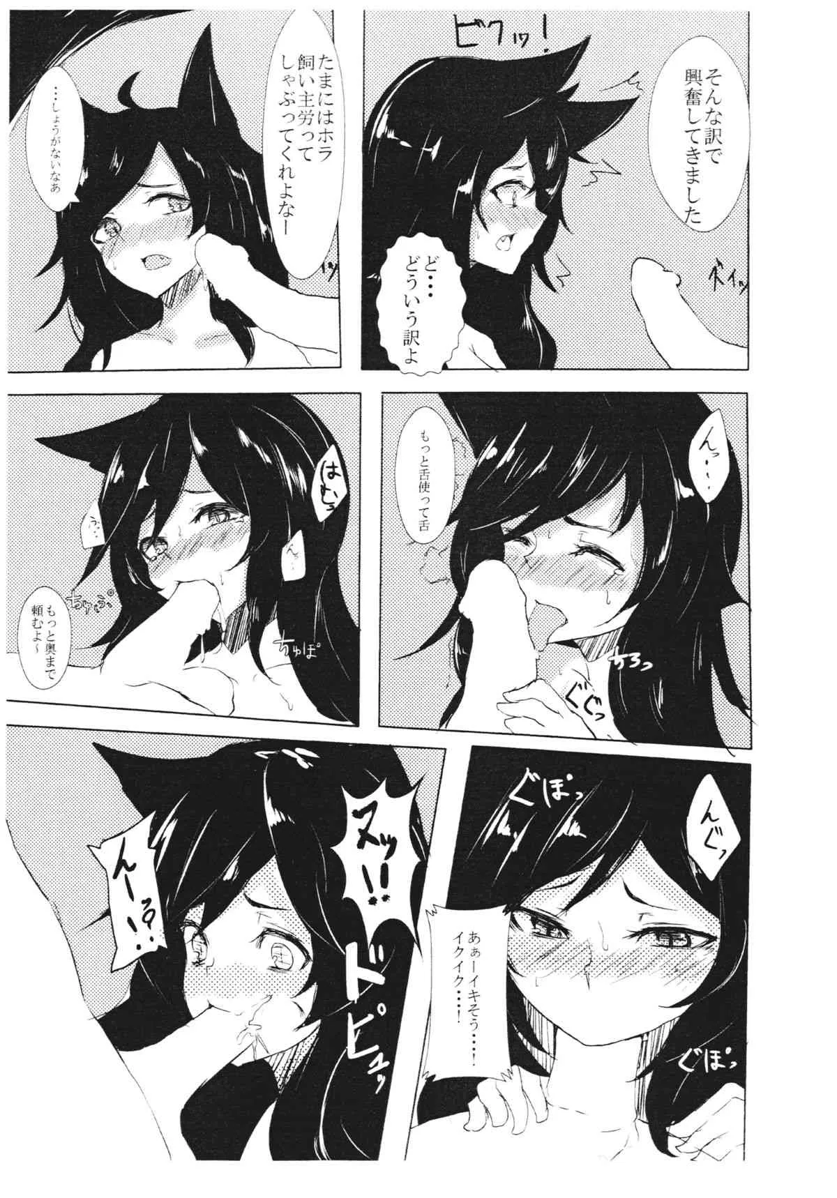 (C85) [アカイキツネ] ルーガルーハイ (東方)_4