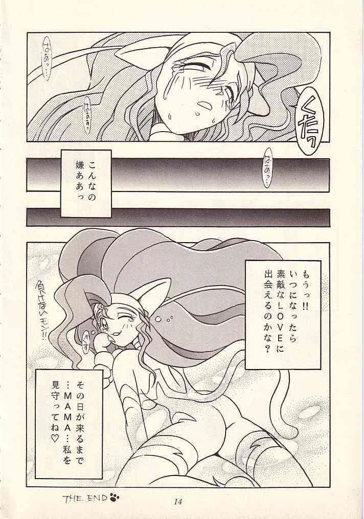 image_13