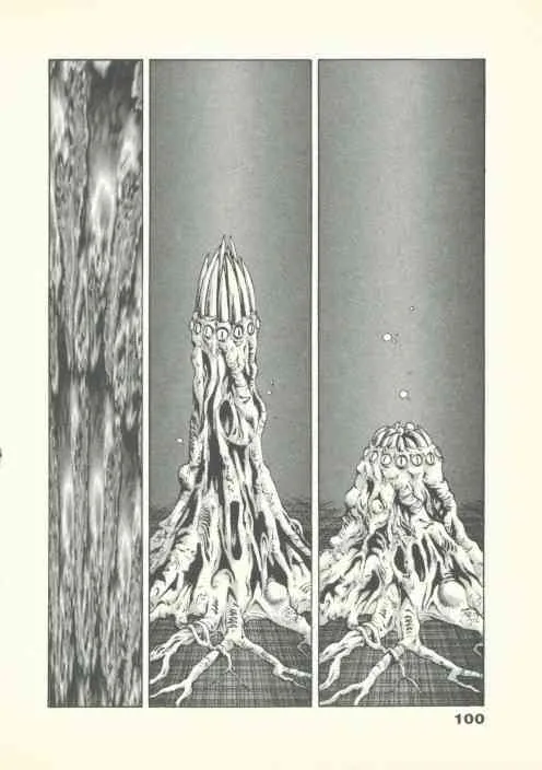 image_100