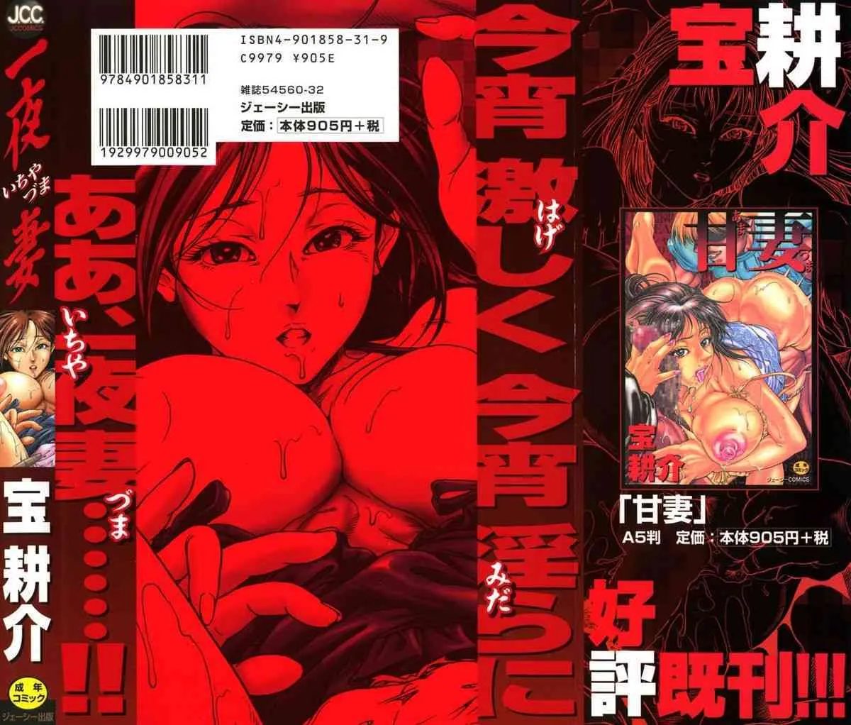 [宝耕介] 一夜妻_2