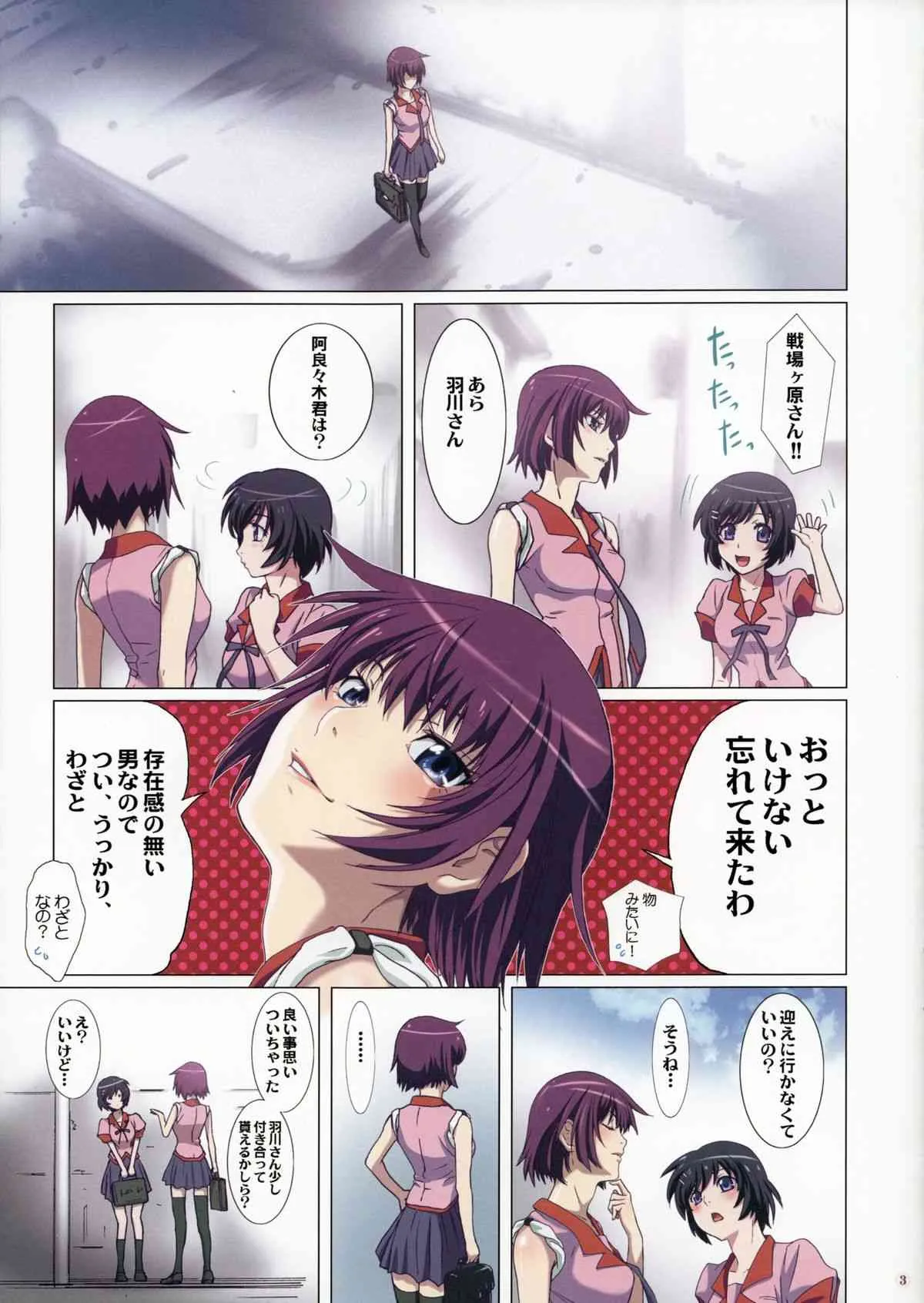 (C85) [STUDIO PAL (南野琴)] たくらんでますよ、ガハラさん。(化物語)_3