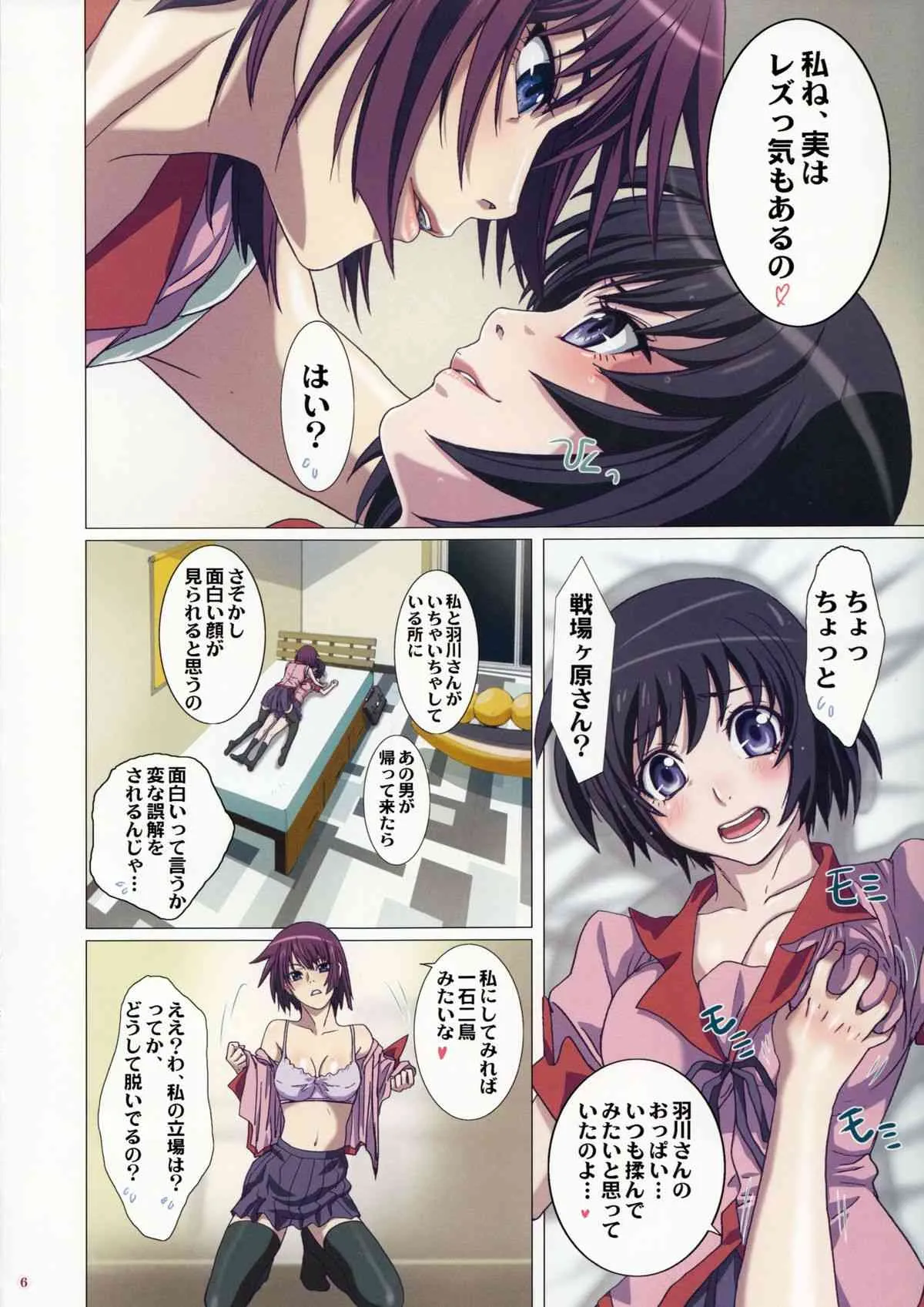 (C85) [STUDIO PAL (南野琴)] たくらんでますよ、ガハラさん。(化物語)_6