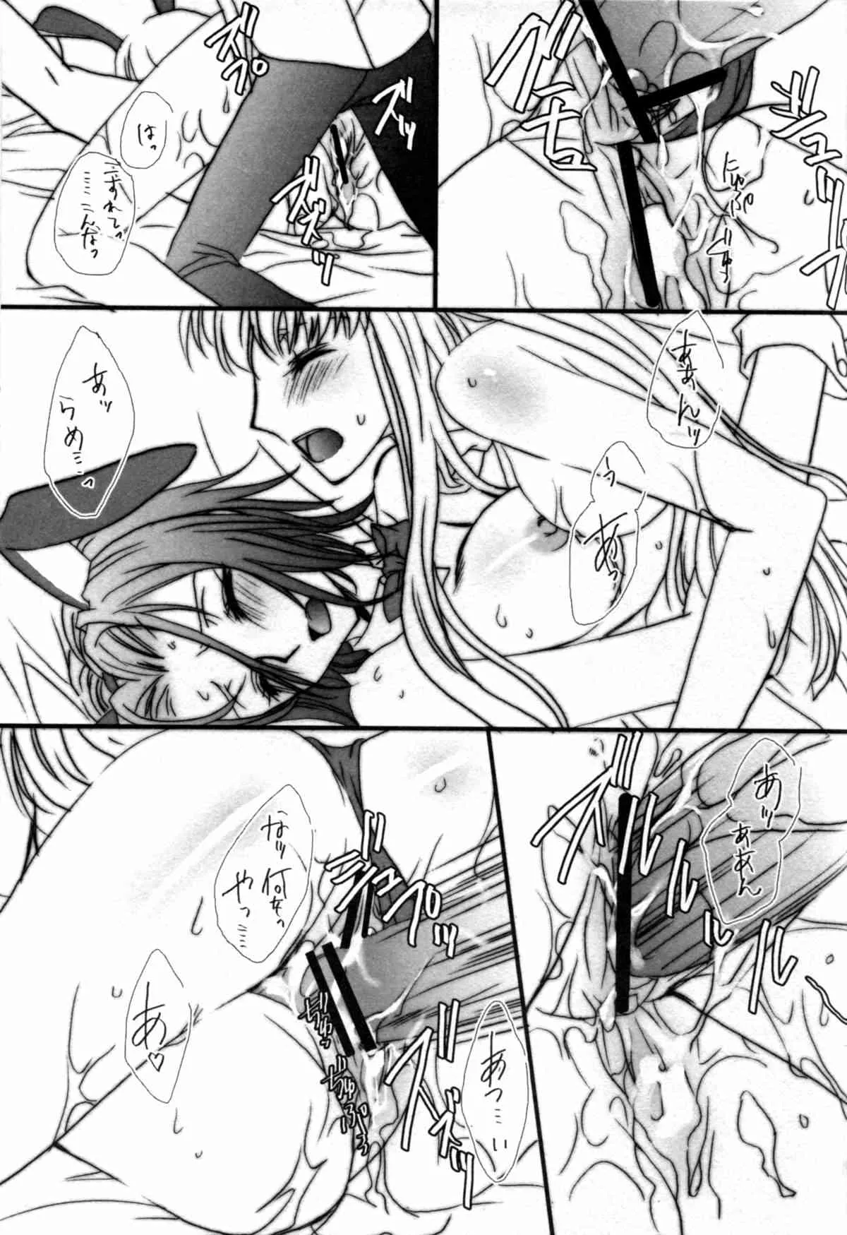 (COMIC1☆2) [FAIRY PINK (浅野晃)] うさぎさんといっしょ (コードギアス)_8