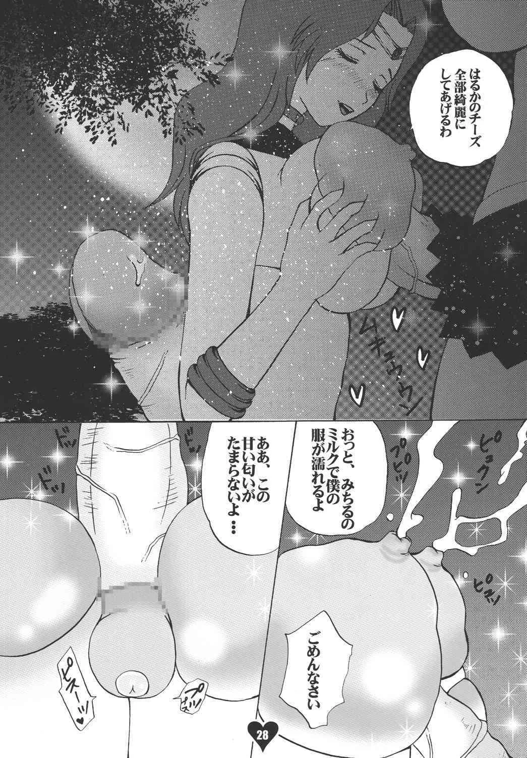 image_27