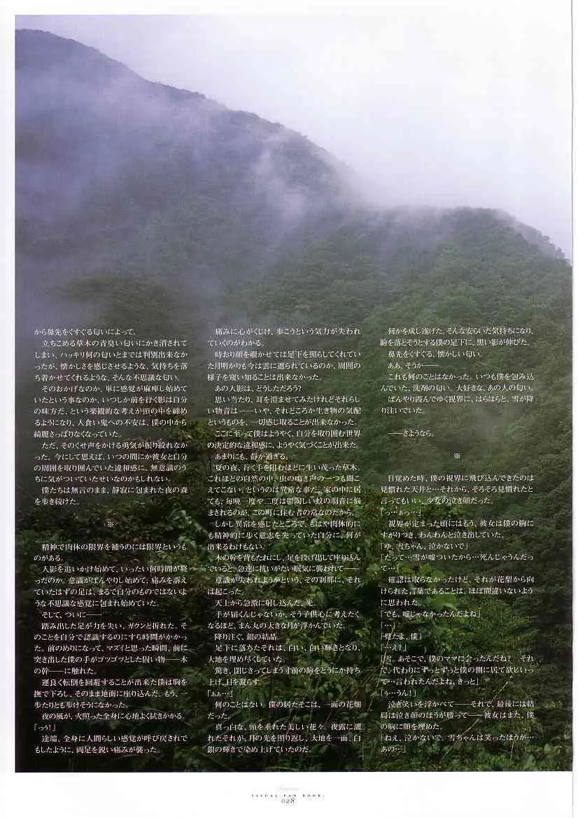 image_29
