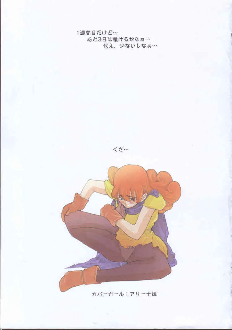 (C55) [ガジェット工房 (A-10)] DRAGONQUEST INFERNO (ドラゴンクエスト)_2