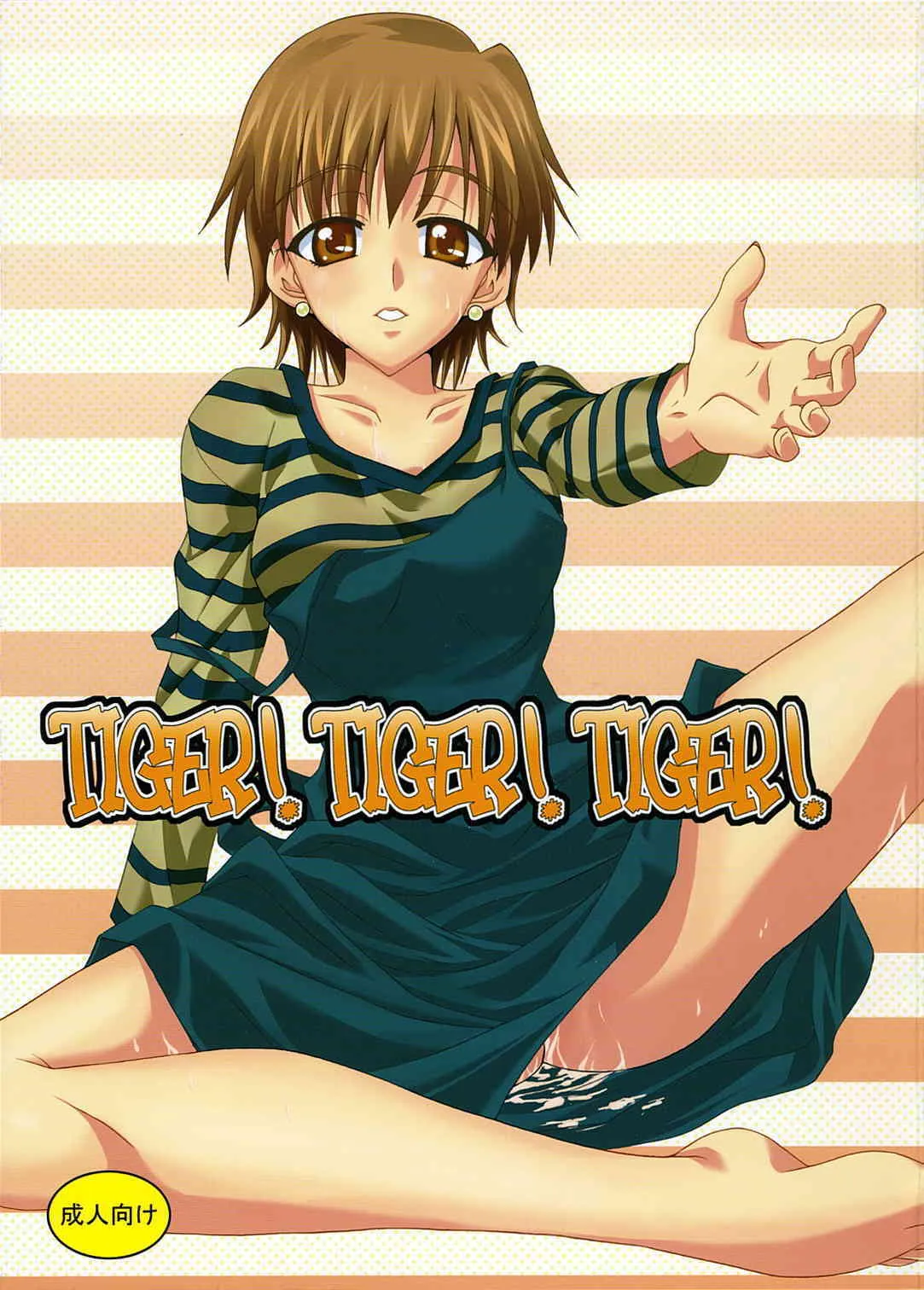 (C70) [譲葉 (Aki)] TIGER! TIGER! TIGER! (Fate/stay night)