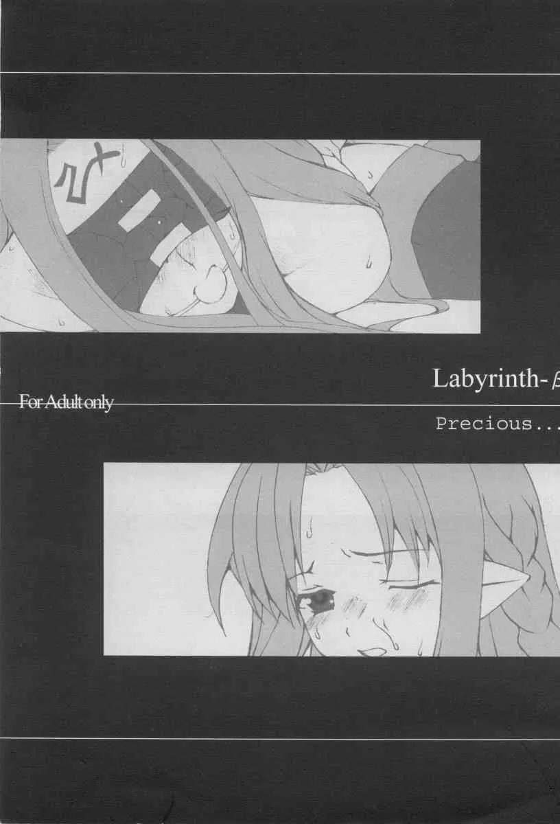 (Cレヴォ35) [Precious… (羽音るな)] Labyrinth-β (Fate/stay night)