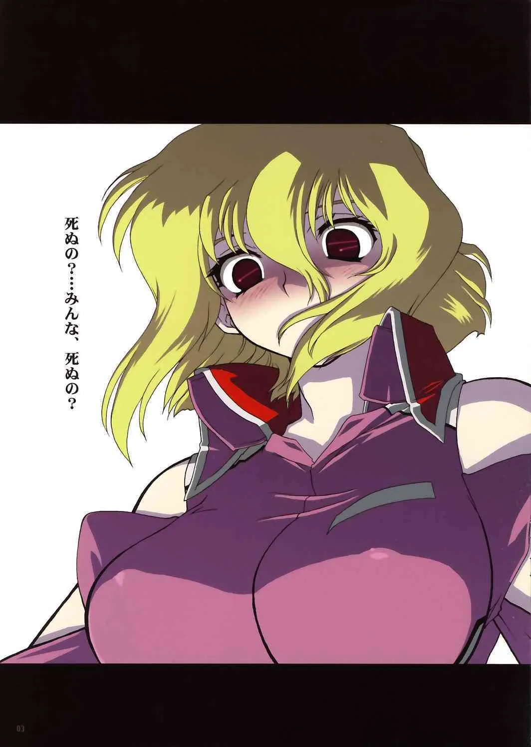 [松本ドリル研究所] DRILL IMPULSE (機動戦士ガンダム SEED)_2